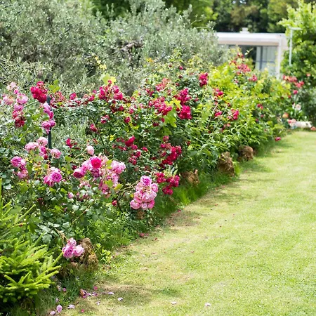 Tabain I 公寓 米利尼