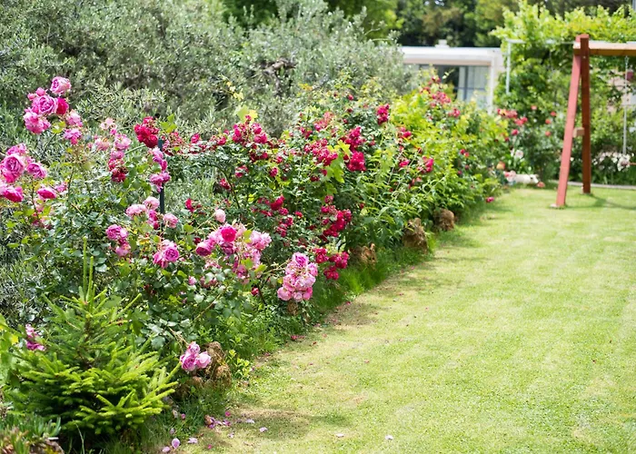 Tabain I Daire Mlini